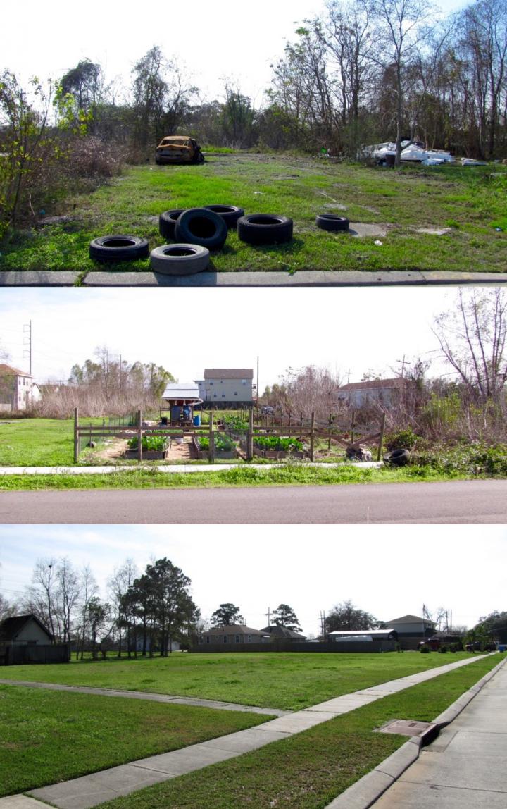 Management Contrasts