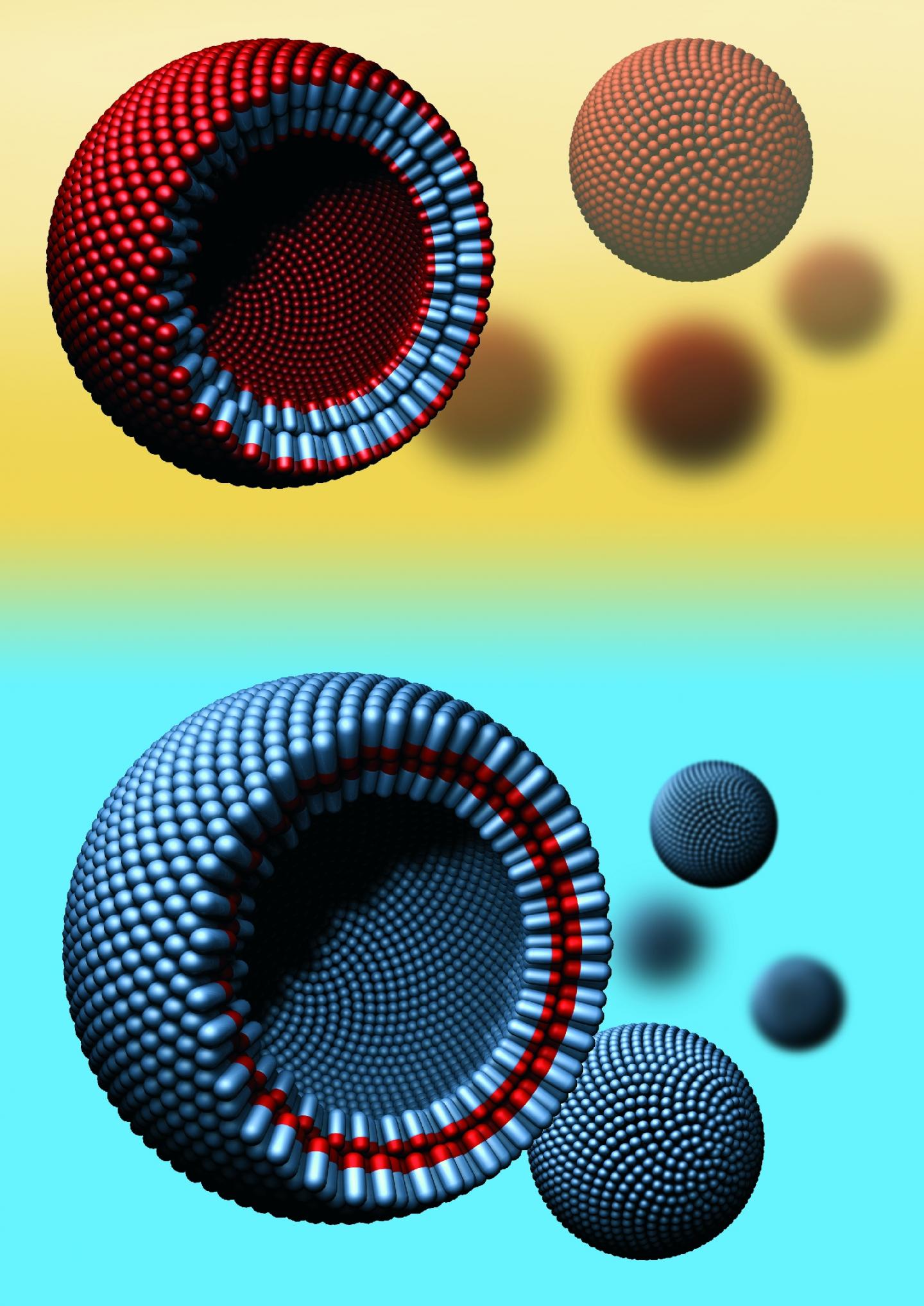 Physicists Develop World'S First Artificial Cell-Like Spheres from Natural Proteins