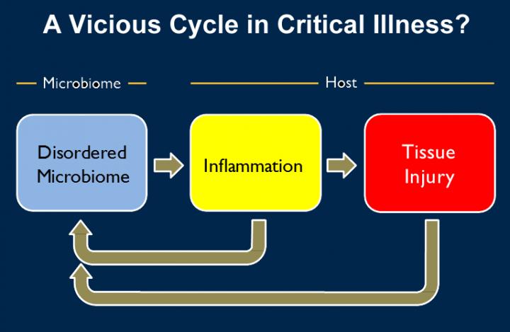 Vicious Cycle in Critical Illness