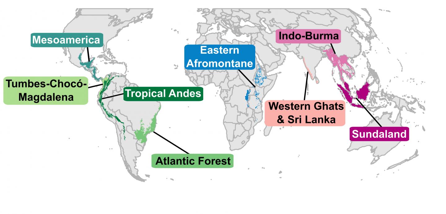 Tropical biodiversity hotspots [IMAGE] EurekAlert! Science News Releases
