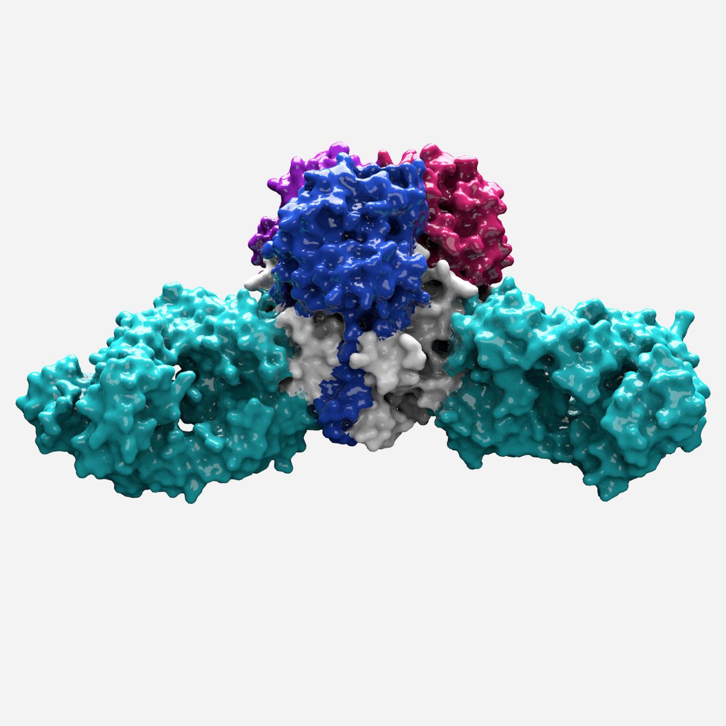 One Step Closer to a Lassa Vaccine (2 of 3)