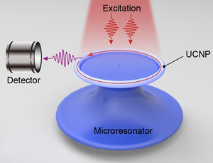 Microtoroidal resonator platform