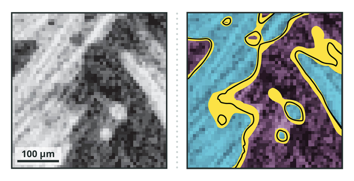 Image Segmentation
