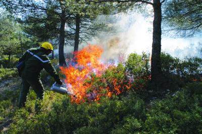 Prescribed Burn in Southern Europe
