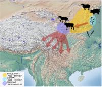 Presumed Pathways of the Expansion of Non-Sinitic Sino-Tibetan Languages