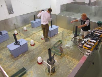 Setting up a 'Mouse Barn'