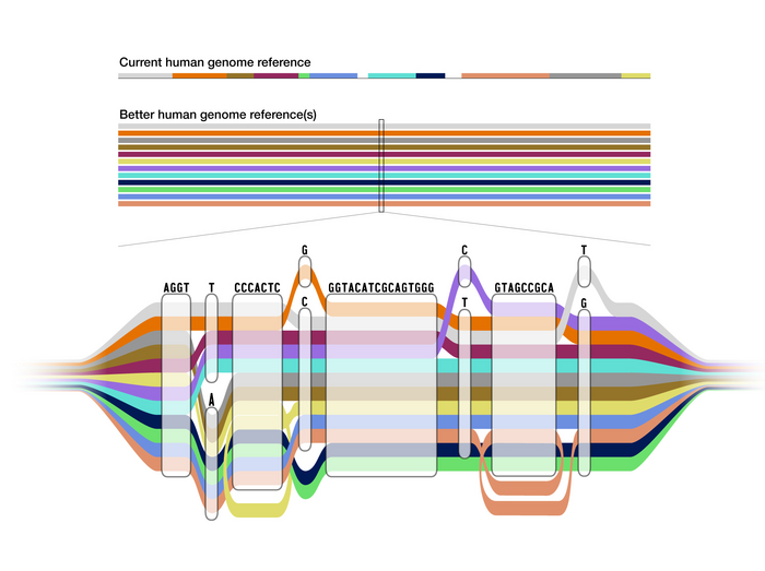 Pangenome sequence tube map