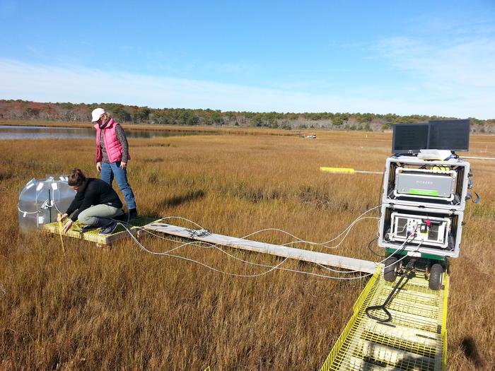 Monitoring carbon flux at a New England salt marsh