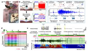 Figure 4. Closed-loop seizure control system capable of apposite tFUS modulation utilizing neurosignal feedback