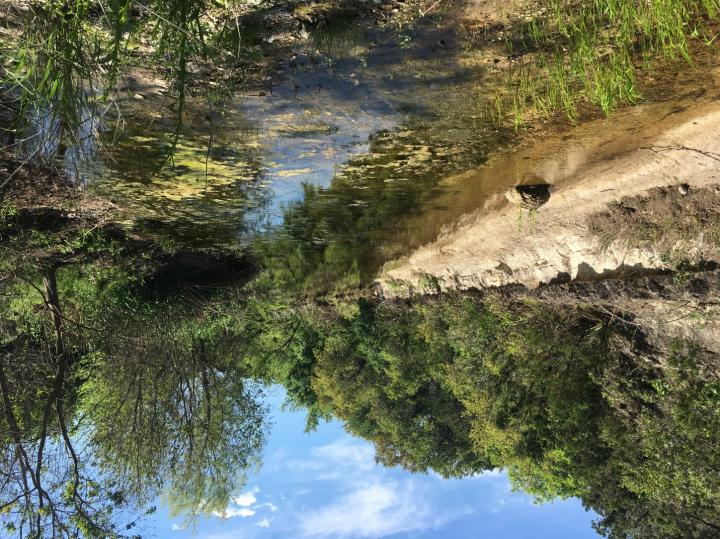 Helotes Creek