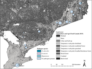 Pathogens detected in small mammals in Ontario and Quebec, Canada.