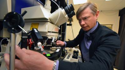 Dr. Sergei Kirov, Medical College of Georgia at Georgia Regents University
