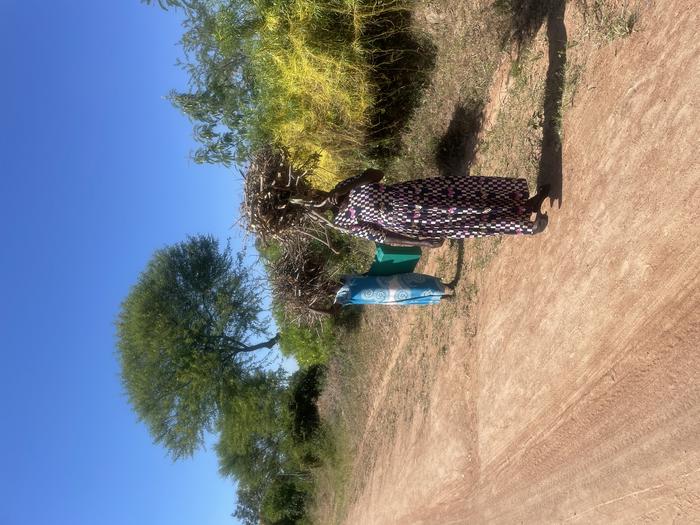 Women gathering firewood