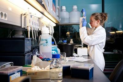 Studies of TLK1 in the Laboratory