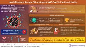 Inhaled Receptor Decoys: Efficacy Against SARS-CoV-2 in Monkey Preclinical Models