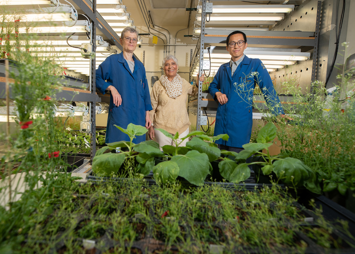 Plant stress research team