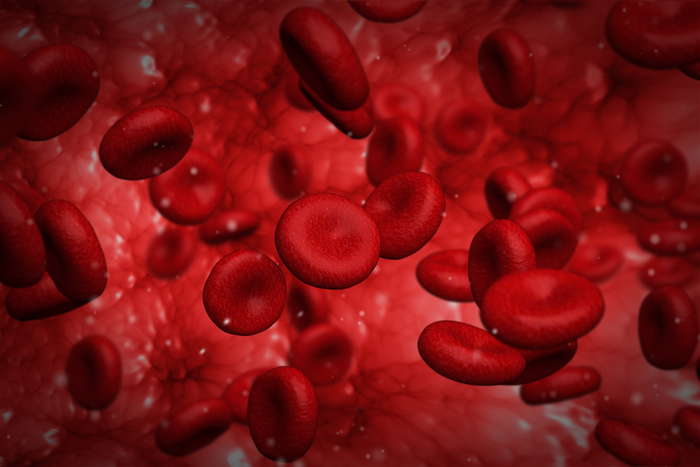 Probing Mechanical Performance of Red Blood Cells