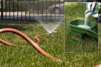 Lawn Irrigation & Fertilization Trends