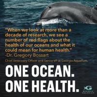 One Ocean. One Health.