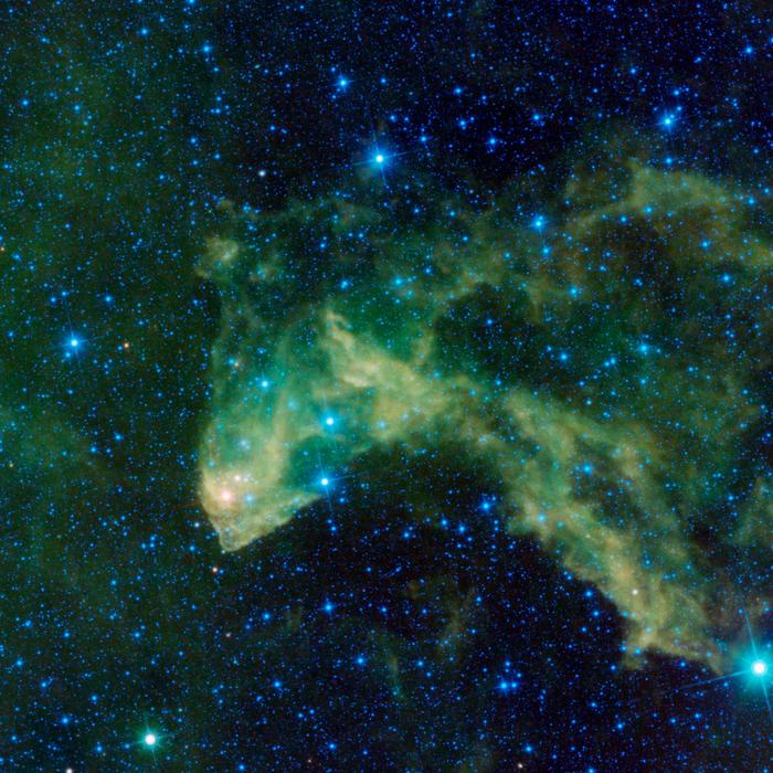 Baby Stars of the Gecko Nebula