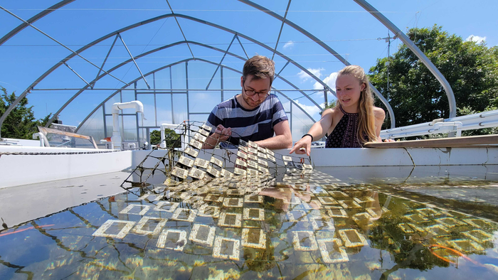 Examining plastics exposed to sunlight