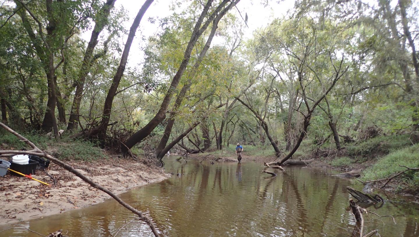 Precipitation and temperature drive continental-scale patterns in stream invertebrate production (2 of 3)