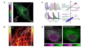 Building images photon-by-photon to increase the information content provided by microscopes.