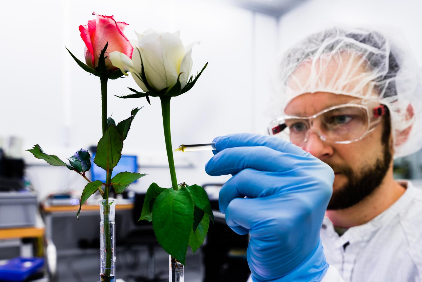 David Poxson, Laboratory of Organic Electronics, LiU