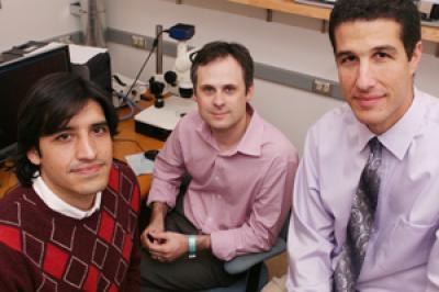 Drs. Mario Perello, Michael Lutter and Jeffery Zigman, UT Southwestern Medical Center