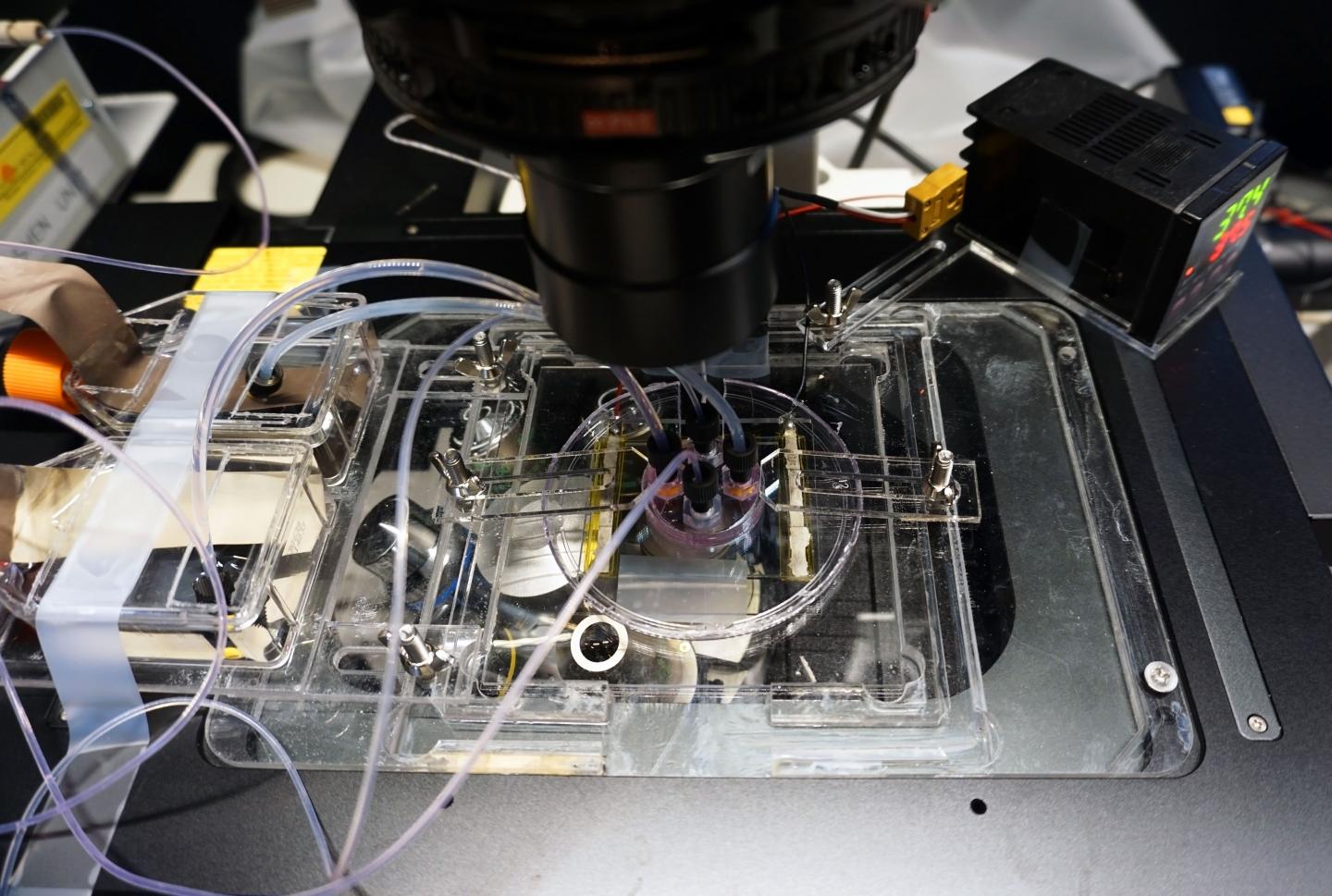 The Machinery that Tests the Device