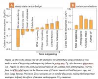 Carbon Influx and Outflux to the Atmosphere and Oceans