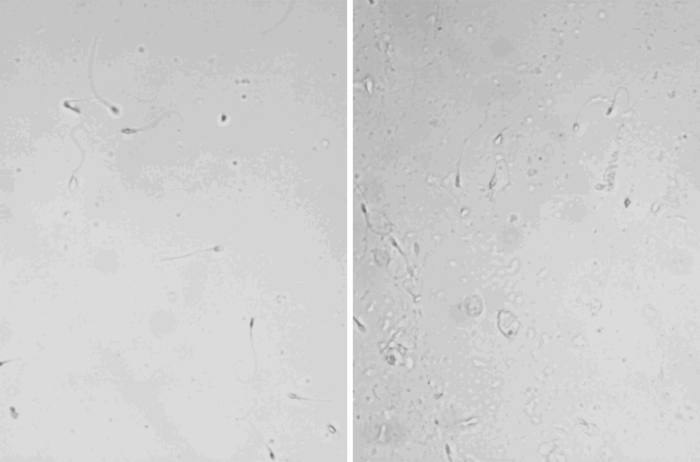 Contraception study samples