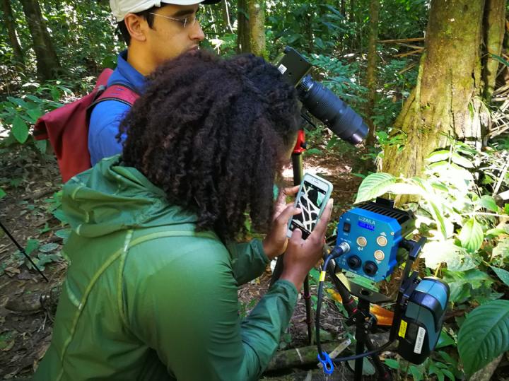 Setting up Portable Lighting to Study the Slingshot Spider