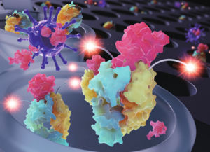 Figure 1. Detecting SARS-CoV-2 with a new Quenchbody immunosensor