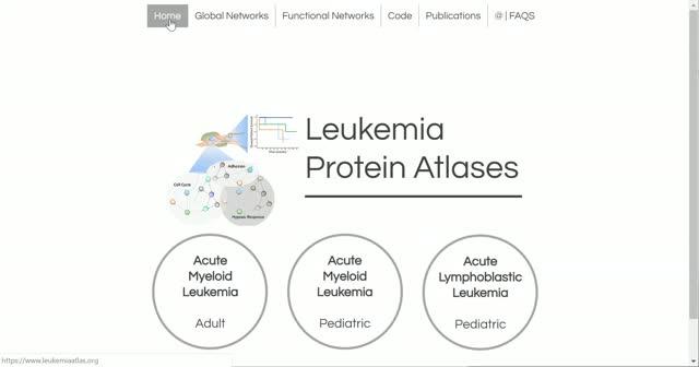 The Leukemia Atlas