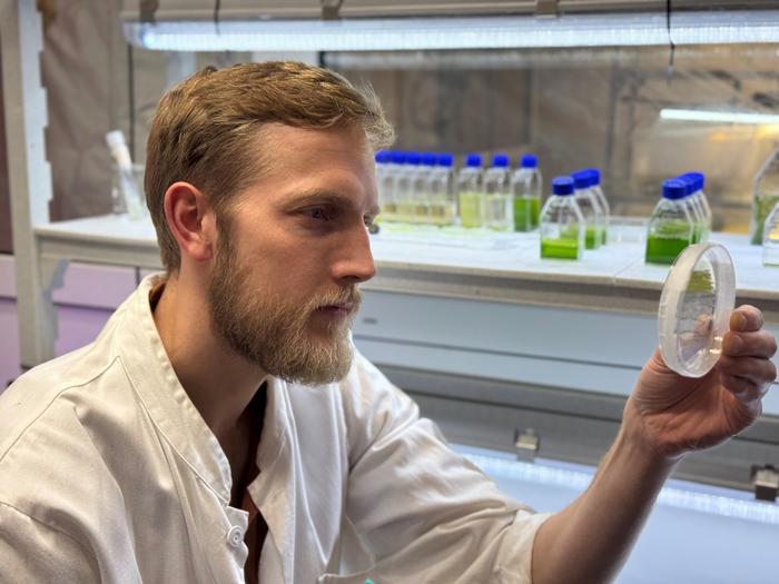 Emil Gundersen in the algae lab at DTU Food.