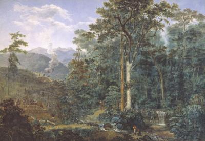 Painting of a Rainforest