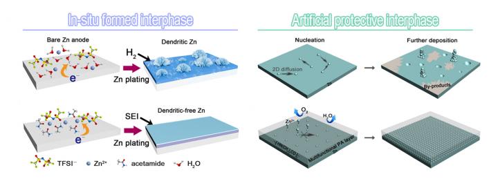 In Situ Formed and Artificial Protective Interphases to Tame Zn Electrochemistry