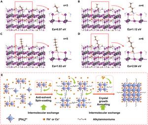 Theoretical analysis and schematic crystallization