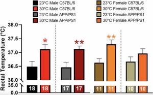 Thermotherapy has sexually dimorphic responses in APP/PS1 mice