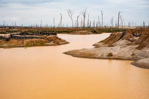 Shallow mining ponds dominate the landscape where a stream once ran through the rainforest in the La Pampa region of the Madre de Dios, Peru