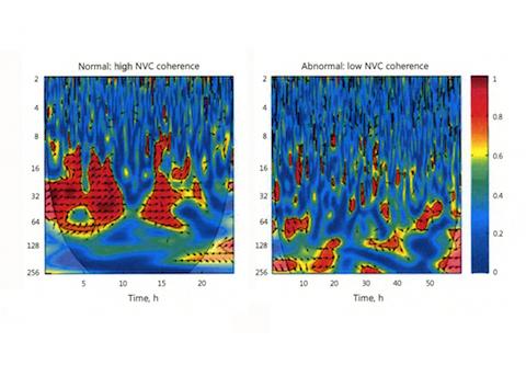 Heat Maps