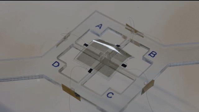 Multilayer Dielectric Elastomers
