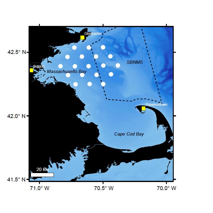 Right Whales Study Area Map