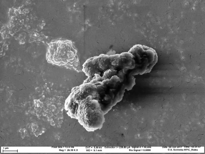 Electron microscope image of a soot particle composed of carbon nanoparticles.