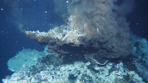 Deep-sea hydrothermal vent