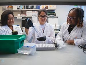 researchers at a lab bench