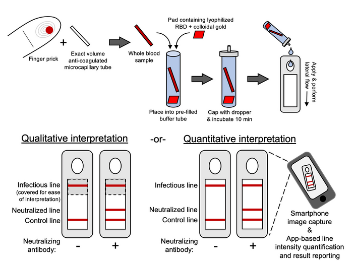 Covid Immunity Test (2)