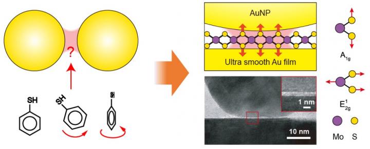 2D Atomic Crystals Probe