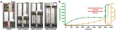 Photographs of a Polymeric Complex Stretched to 3,500%, and Electrical Conductivity Graph